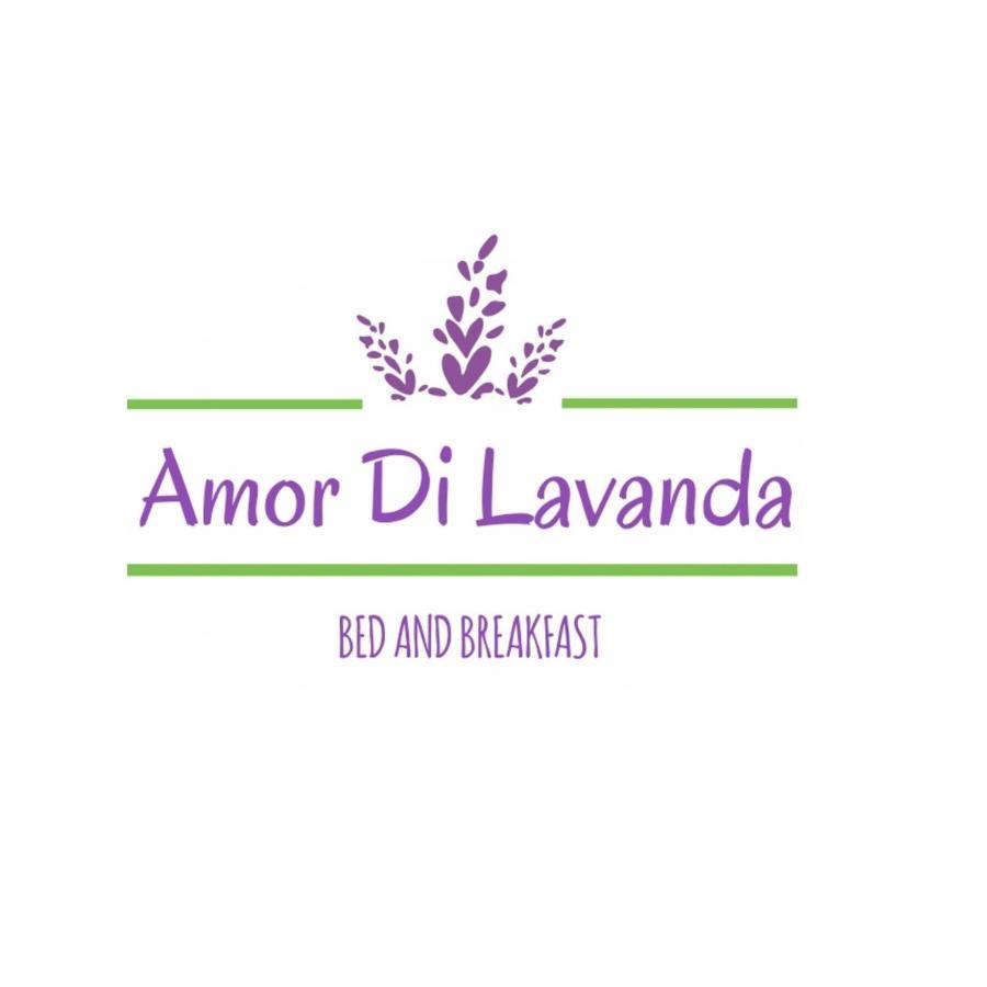 Amor Di Lavanda Cingoli Exteriér fotografie