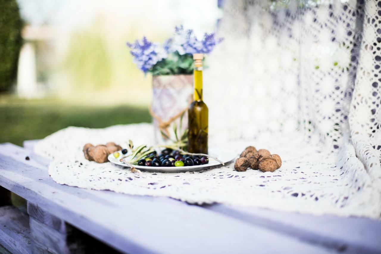 Amor Di Lavanda Cingoli Exteriér fotografie