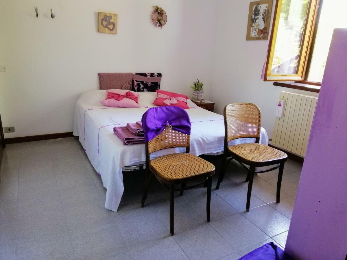 Amor Di Lavanda Cingoli Exteriér fotografie