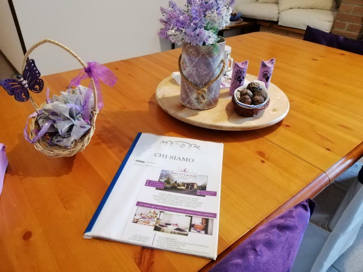 Amor Di Lavanda Cingoli Exteriér fotografie