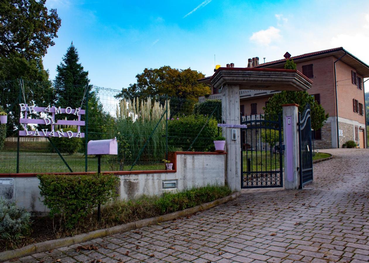 Amor Di Lavanda Cingoli Exteriér fotografie
